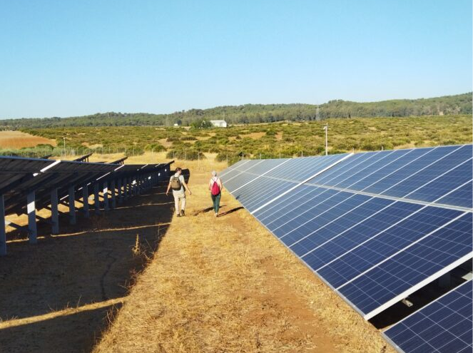 servei-representacio-productors-som-energia